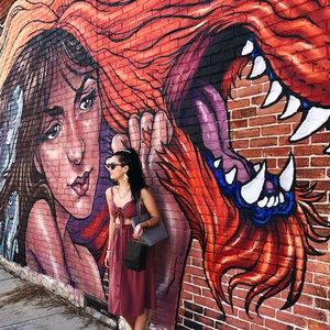 Hardly worn Wilfred dress from Aritzia